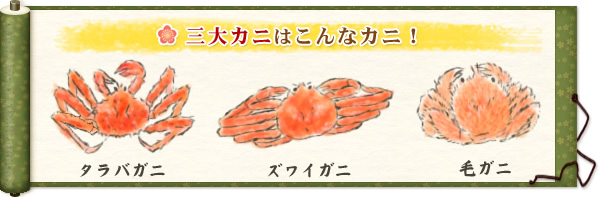 三大カニはこんなカニ! タラバガニ ズワイガニ 毛ガニ