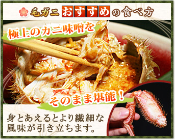 毛ガニおすすめの食べ方 極上のカニ味噌をそのまま堪能! 身とあえるとより繊細な風味が引き立ちます。